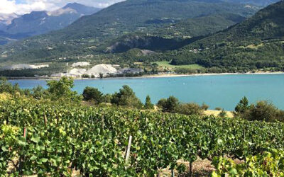 16 mai – Conférence  “La vigne dans les Hautes-Alpes – XIXe-XXIe siècles”